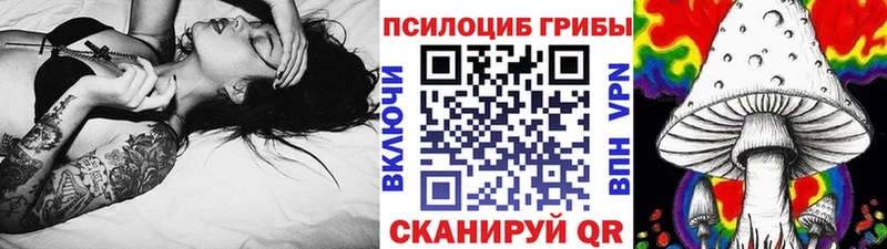 нарко площадка Telegram  ссылка на мегу онион  Людиново  Галлюциногенные грибы Magic Shrooms 